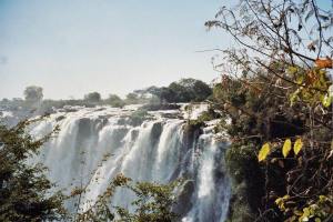 13631412_1247157365297374_4644518154843419465_n