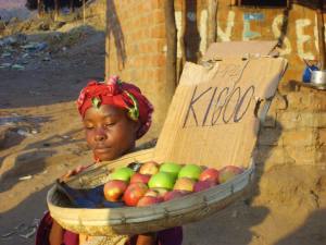 13659001_1247157281964049_2396427534334224406_n