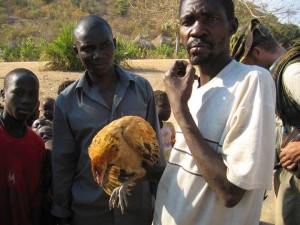 13782239_1247157341964043_6488287947540455925_n