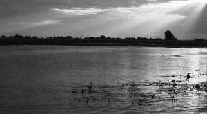 13879198_1254370847909359_7259786359250640393_n