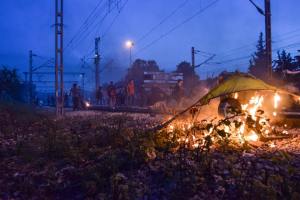 13882612_1266934376653006_6405391972836064013_n