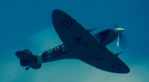 13900360_1254242157922228_2622055488554031579_n