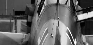 13902534_1254242081255569_2125377567957382040_n