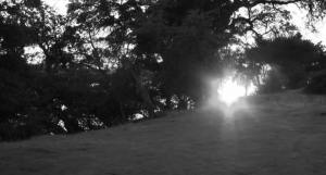 13912783_1254371001242677_5374118598208196055_n