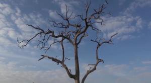 13925041_1254370901242687_2288682616808946287_n