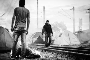 14051704_1266934289986348_7988389685836866935_n