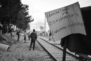 14063823_1266934273319683_2615807958900318338_n