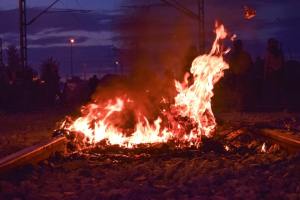 14064030_1266934429986334_1725726496196925903_n