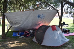 Refugees left no option but to sleep in the parks of Belgrade, Serbia with little or no shelter